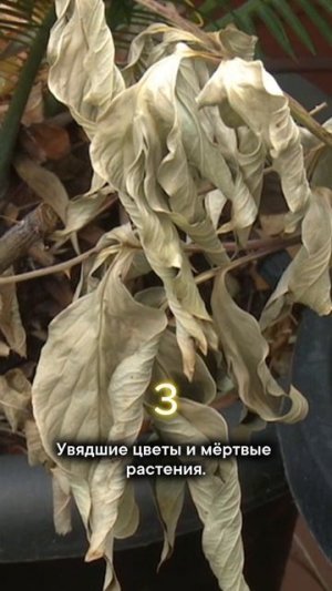 Обязательно уберите из дома эти вещи в 2026 году