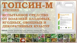 Топсин М - испытанное мощное средство от болезней растений. Обновлённый обзор 2026 года
