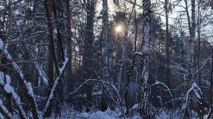 МОРОЗ -25 ИДУ В ЛЕС МОЛИТЬСЯ ЗА НАРОДЫ 🙏🙏🙏