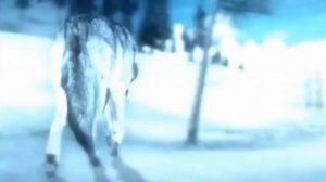 Garik Garik 💘 Волчица☝️