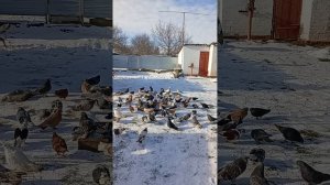 89895013708 Андрей