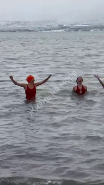 Вот кто рад снегу в Геленджике - местные моржи 😁👍 смотреть онлайн