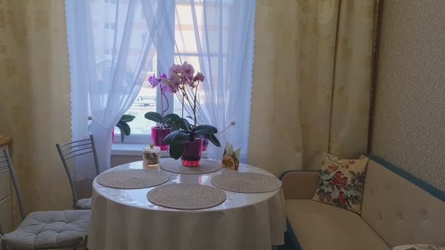 Орхидеи и другие цветы!🌸Дом и дача, уютное видео.🌺Ленинградская область.🌺 смотреть онлайн