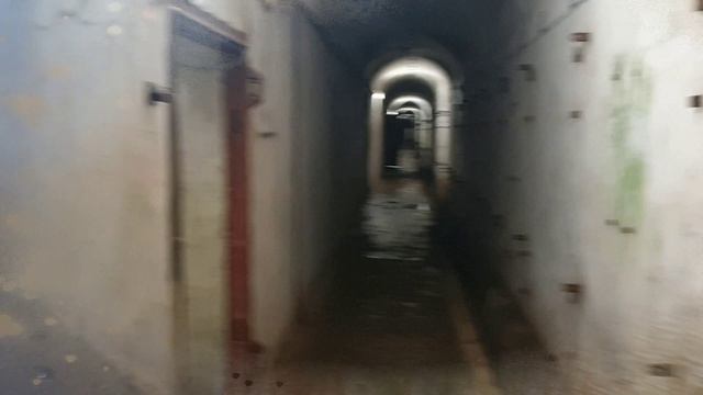 Кронштадт. Форт Риф. Июнь 2025