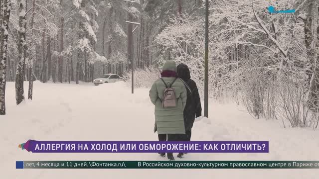 Аллергия на холод. Как распознать недуг и отличить его от обморожения смотреть онлайн