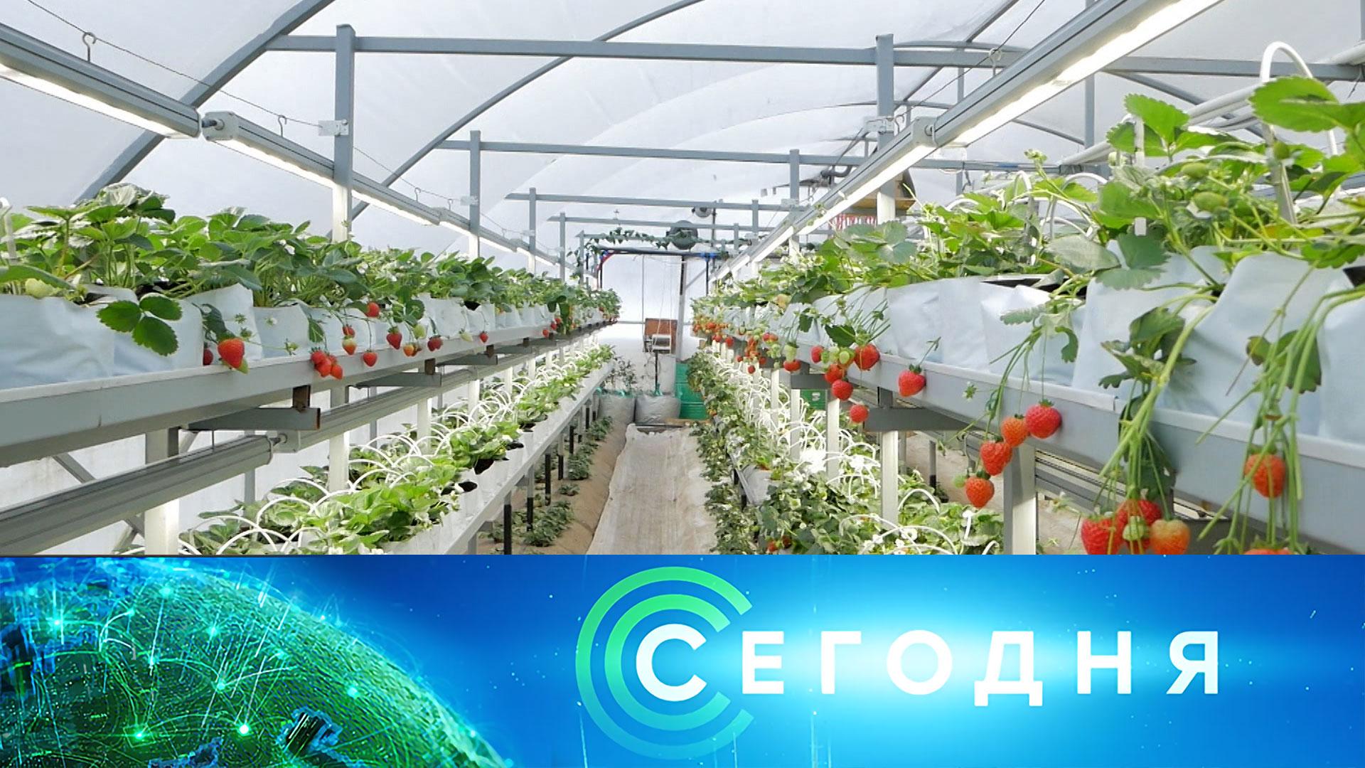 «Сегодня»: 16 января 2026 года. 08:00 | Выпуск новостей | Новости НТВ смотреть онлайн