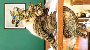 СМЕЙСЯ ДО СЛЁЗ 🤣 ВЕСЕЛАЯ ПОДБОРКА ПРИКОЛОВ С ЖИВОТНЫМИ😁