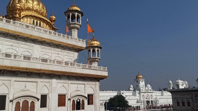Много людей в Золотом храме! смотреть онлайн