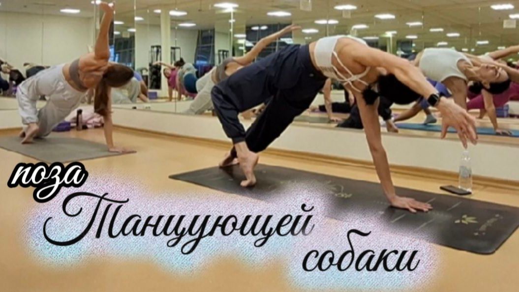 Как укрепить руки, плечи и мышечный корсет? Силовая асана — танцующая собака. Упражнение из йоги смотреть онлайн
