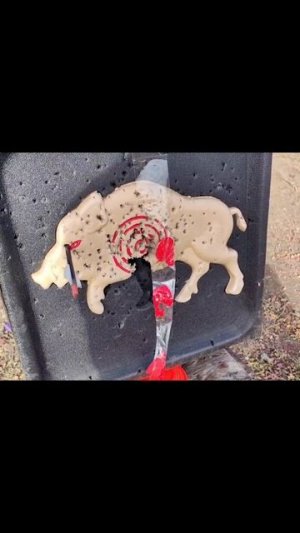 Стрельба с арбалета Doom Mini на 100 метров. #блочныйарбалет #метатель #обзор