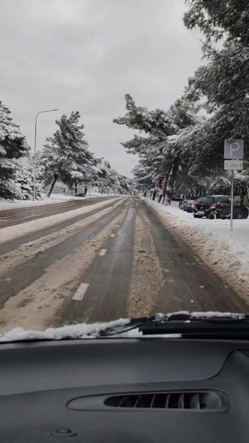 Необычный день в Геленджике смотреть онлайн