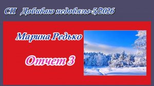 СП "Добиваю недовязы-5/2026" / Отчет 3
