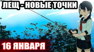 Куда ушел ЛЕЩ? 360 и 480 монет за ночь ● Русская Рыбалка 4 | РР4