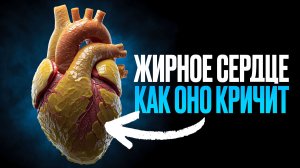 Как лишний вес убивает ваше сердце [Научно доказано]