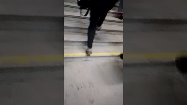 Как дойти от станции метро Площадь Маркса до ТРЦ Версаль в Новосибирске