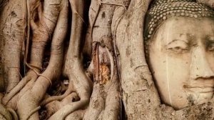 Стивен Грир о близких контактах 5-й степени