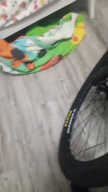 оцените вл пж.