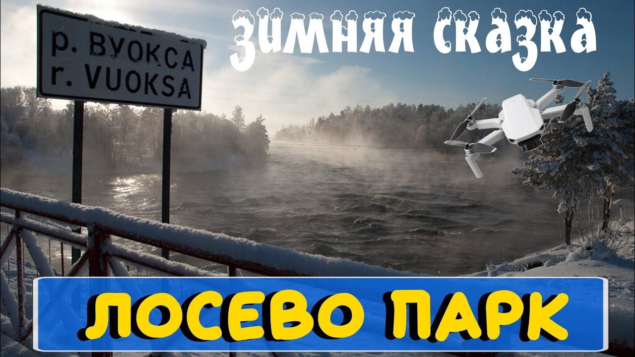 Лосево Парк. Зимняя сказка. Где отдохнуть зимой. Полет на дроне DJI Mavic mini.