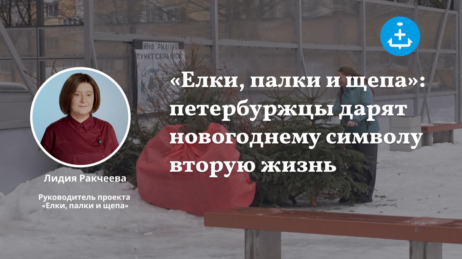 «Елки, палки и щепа»: петербуржцы дарят новогоднему символу вторую жизнь смотреть онлайн