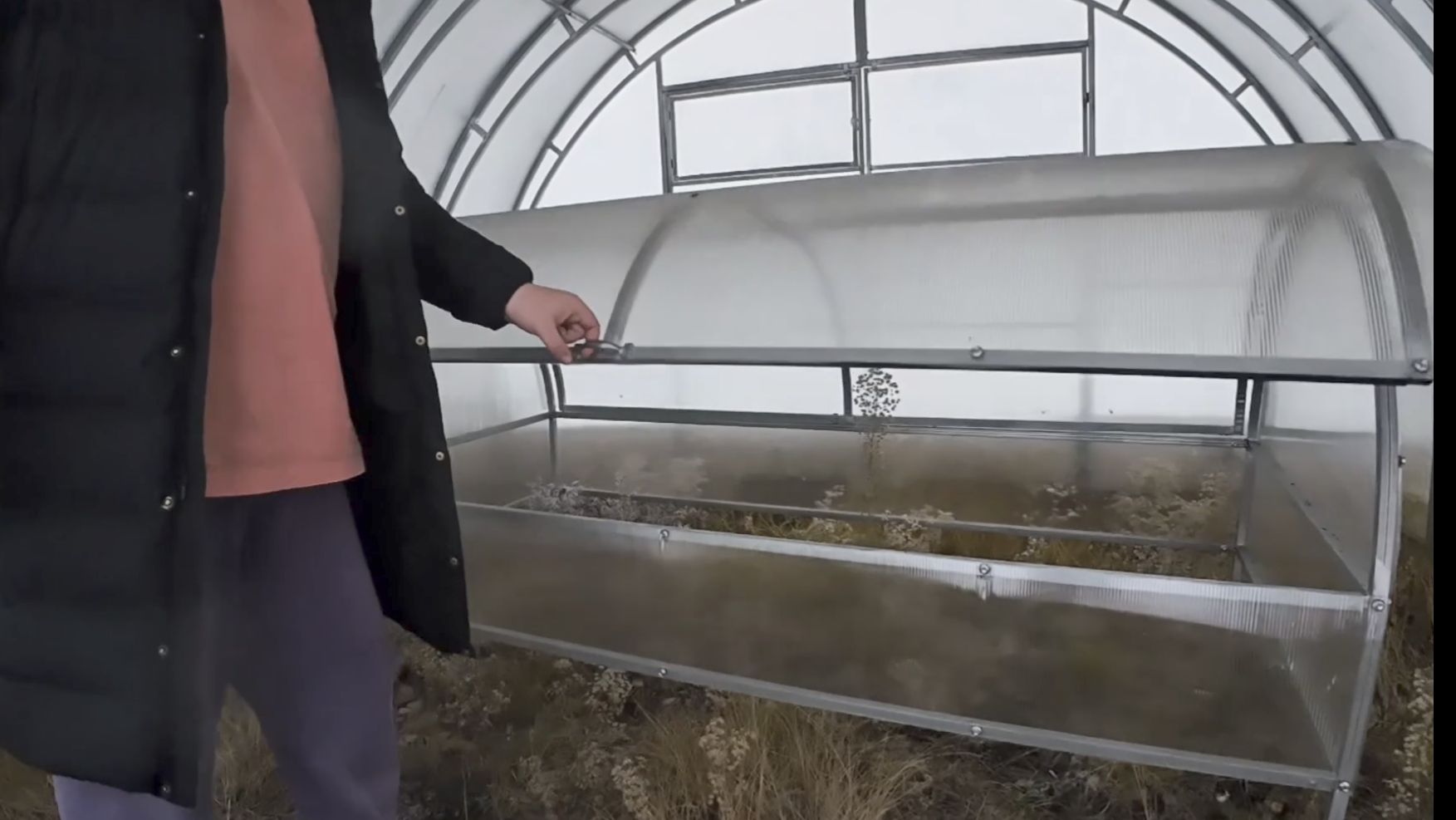 Середина января 2026 года. За семенами. Парник присматриваю. смотреть онлайн