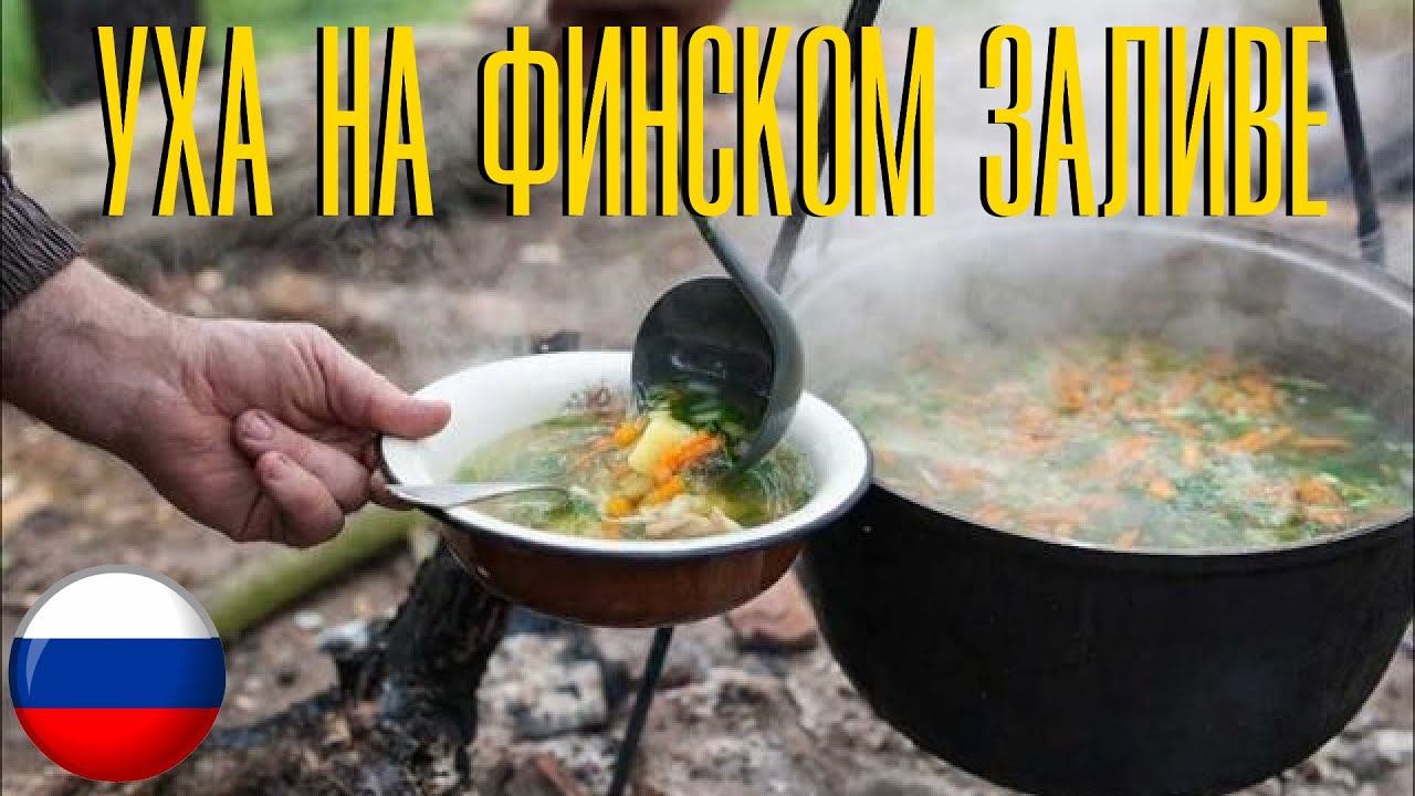 Уха на Финском заливе. Отдых на финском заливе. Уха на природе