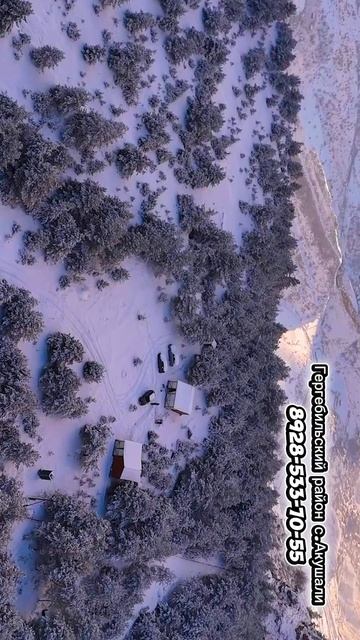 copy_2262D540-E058-48A5-9558-EF5BF0DEBDD4