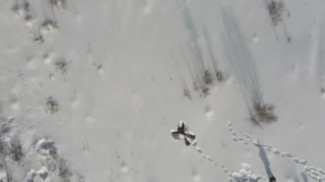 Зимние покатухи, снегоход буран, сани смотреть онлайн