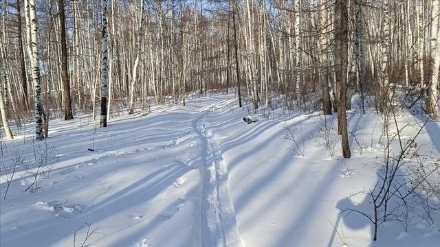 Проверка капканов часть 〽️ 15. смотреть онлайн