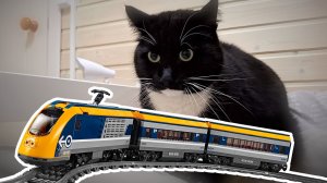 Котик против поезда - смотреть до конца! Видео про поезда игрушки для детей