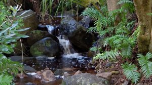 Сердечному другу