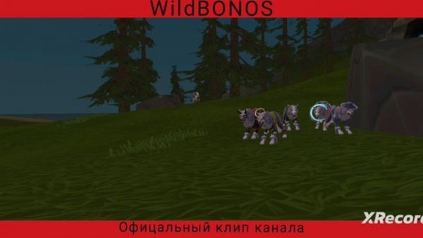 WildCraft официальный клип канала WildBONOS