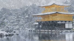 Европейская баллада  Эпическое фортепиано и эмоциональные струнные @RelaxVibes-n7l