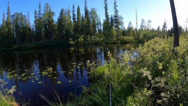 Водный поход в июле 2024