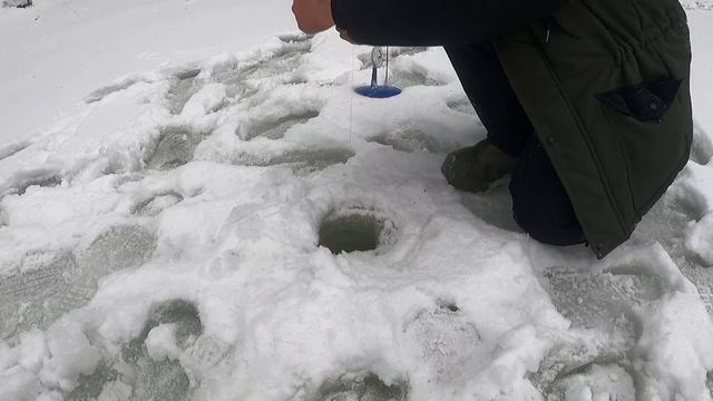 КОСЫНКИ И ЖЕРЛИЦЫ 2026. ЧТО ЕСТЬ ТО ЕСТЬ.