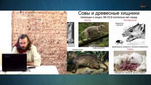 Станислав Дробышевский: Кошки – мышки: кто нас создал, и во что нам это обошлось (№4)