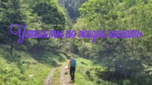 Устал ты по жизни шагать