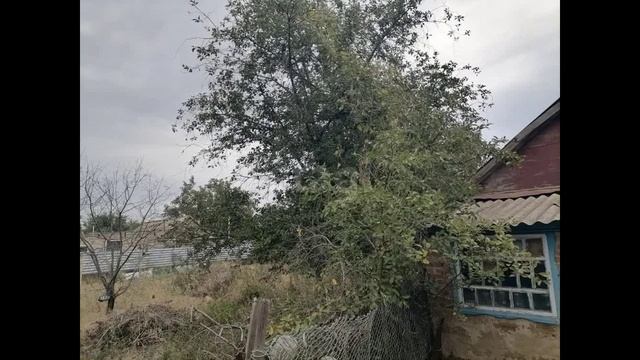 10812307 смотреть онлайн