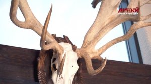 Трофейный дом Сергея Назаркина.