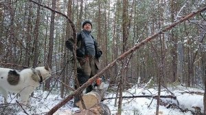 Дневник охотника.Медвежьи метки.День тринадцатый.