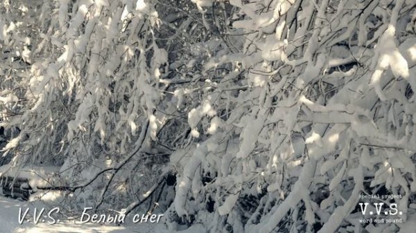 V.V.S. - Белый снег