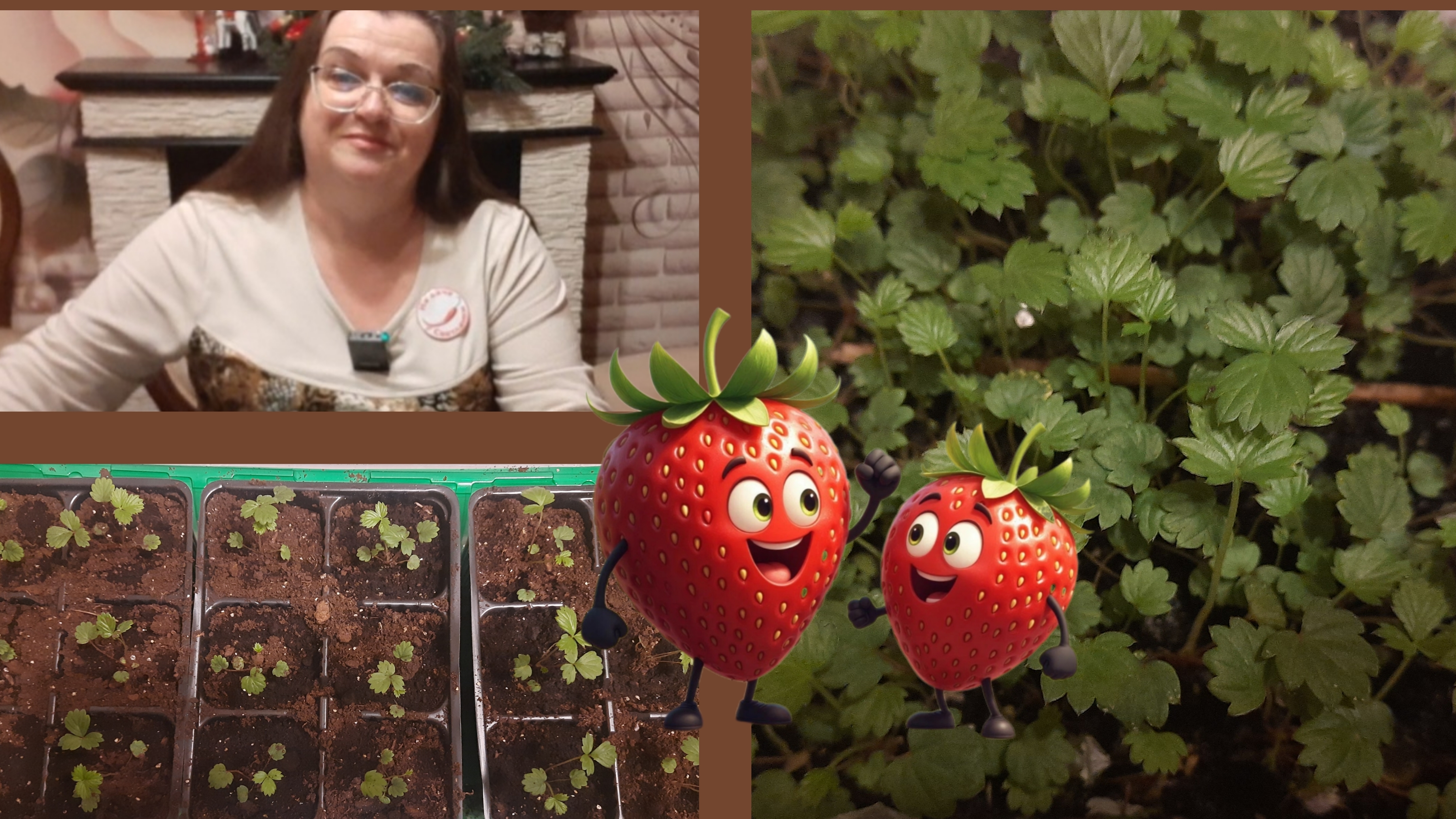 Земляника из семян. Пикировка смотреть онлайн