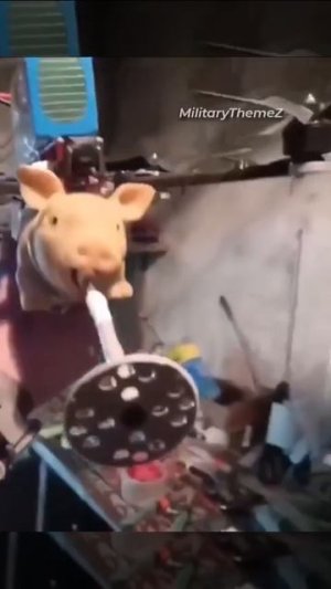 FPV нового поколения 🐽