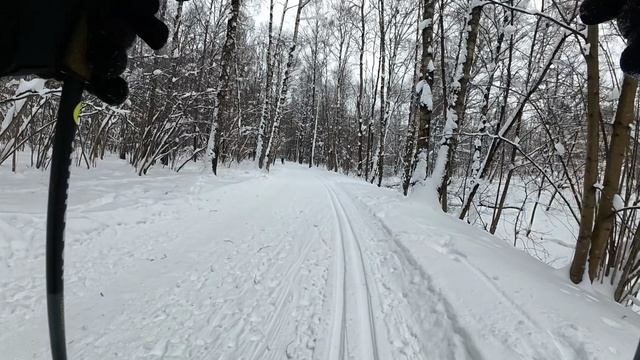 Лыжная прогулка.