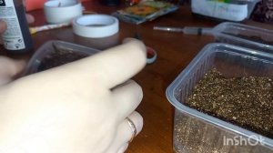 Сезон 2026 объявляю официально открытым!😂😜😉 Посевы многолетних цветов