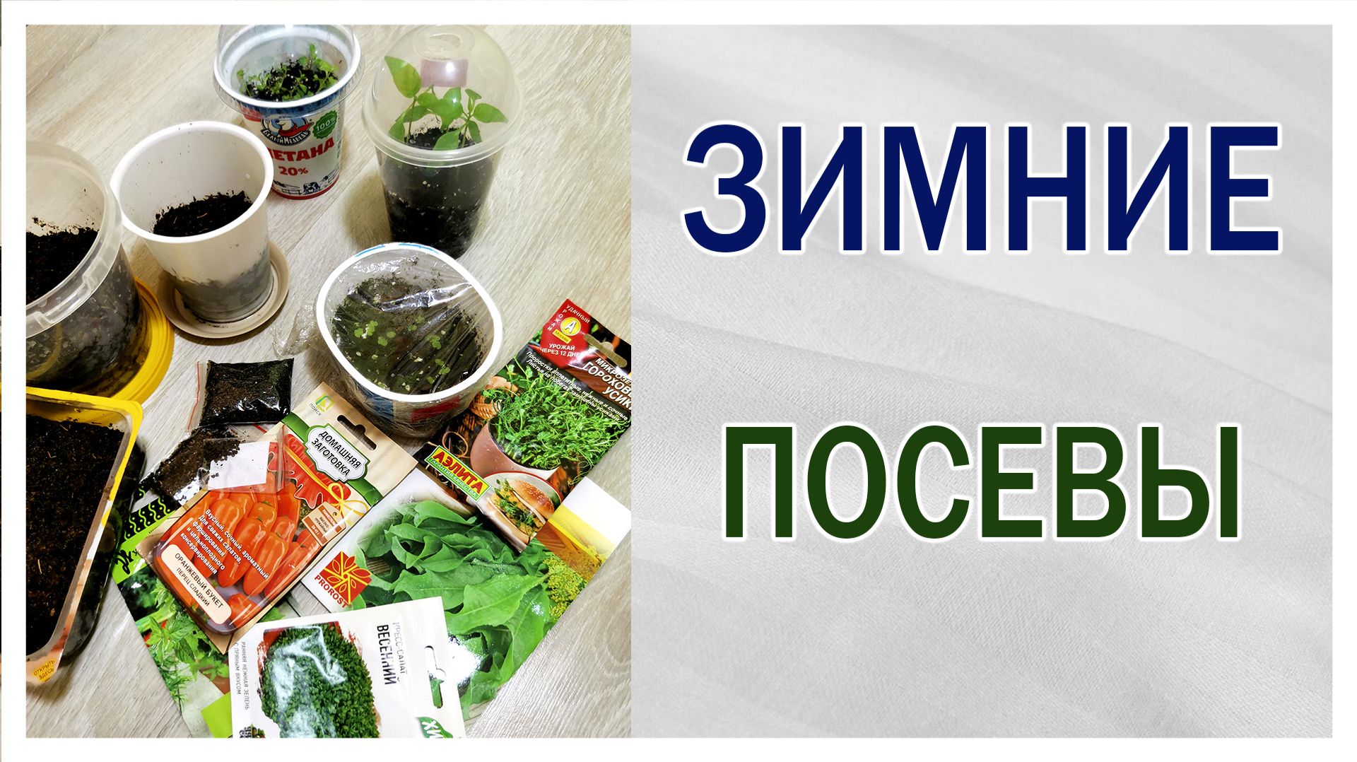 Что выращивать зимой.  Зимние посевы и посадки. Овощи. Цветы. Микрозелень.