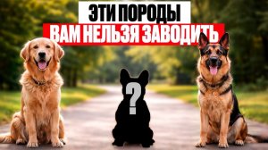 Худшие породы собак для современной жизни/ Как выбрать собаку в 2026 г.