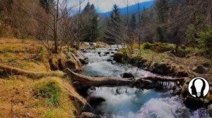 У женщины было много мужчин- 8 скрытых признаков, которые ее выдадут_HD