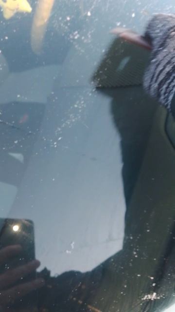 На всякий случай пройдусь скребком по ЛОБовому стеклу смотреть онлайн