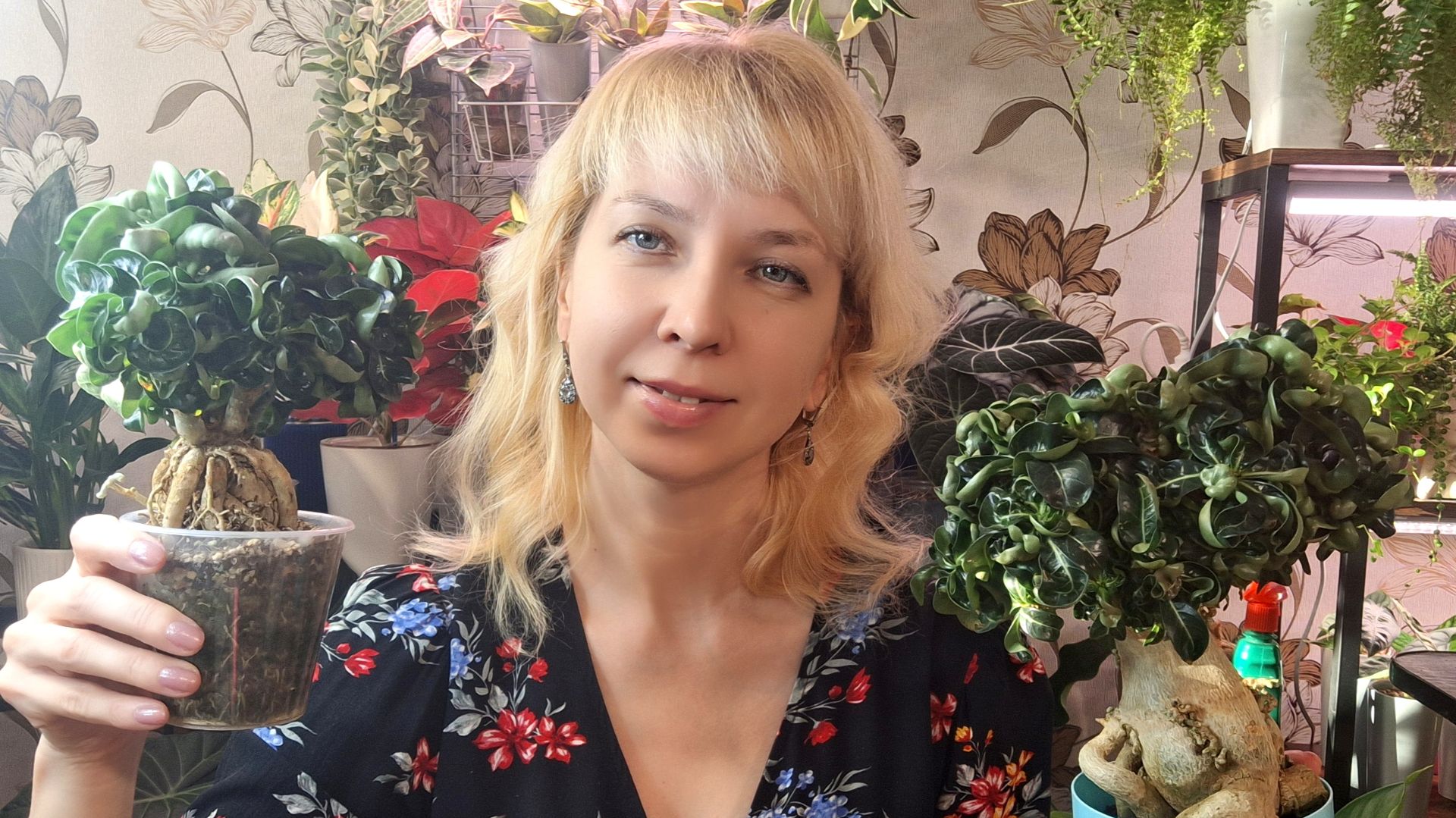 Небольшой обзорчик растений. Январь. смотреть онлайн