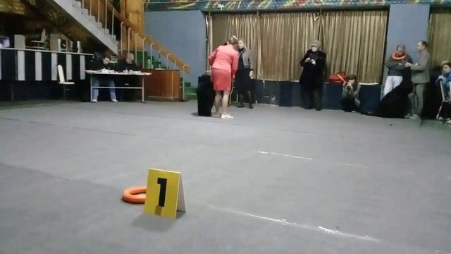 суки победители смотреть онлайн